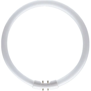 Astro Lighting Bulb - T5 Circular 22W 3000K White Glass