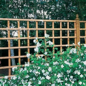 Forest Garden Forest 6' x 6' Heavy Duty Square Garden Trellis Fence Panel (1.83m x 1.83m)