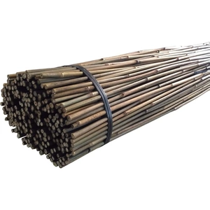 Homebase 10 Pack Bamboo Canes - 2.4m/8ft
