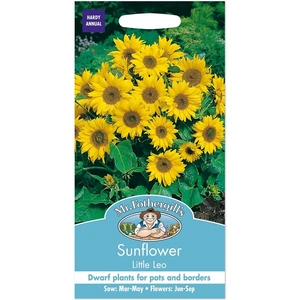 Mr. Fothergill's Sunflower Little Leo Seeds