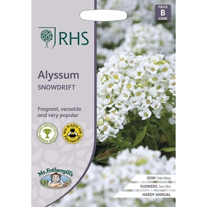 RHS Alyssum Snowdrift Seeds