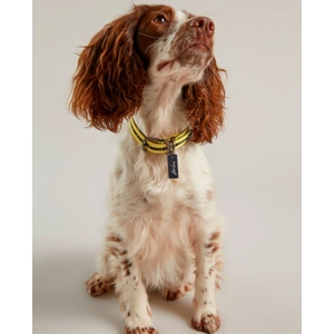 Ruby UK Joules Coastal Dog Collar - Various Sizes & Adjustable Comfort